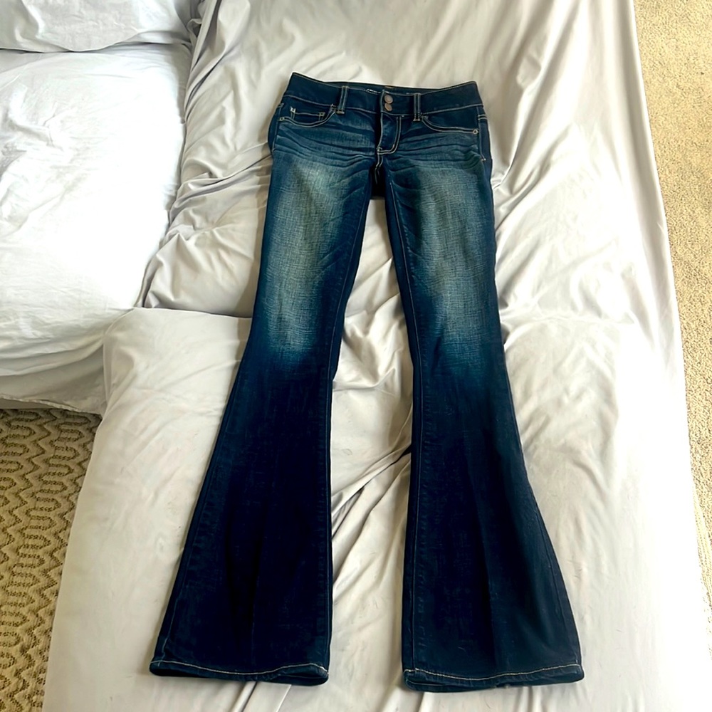 American Eagle Artist Denim